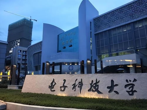 660分上了電子科技大學,不料學費居然高達100000,到底值不值