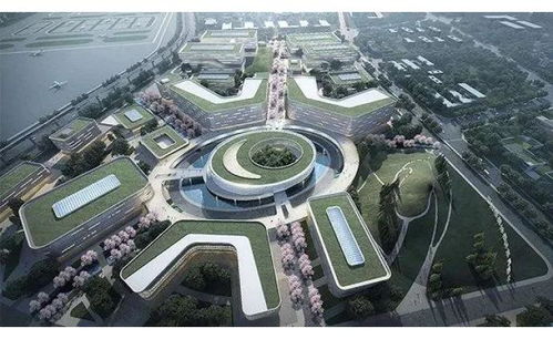 澎湃新聞 專注時政與思想 thepaper.cn